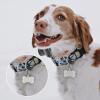 Uiopa 2-Piece Engraved Pet ID Tag Set view 4