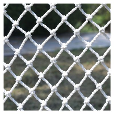 AWSAD Nylon Safety Net for Homes, Schools, Pets, Railings, Stairs, and Balconies - 10 cm Mesh, 3 x 10 m (10 x 33 ft)