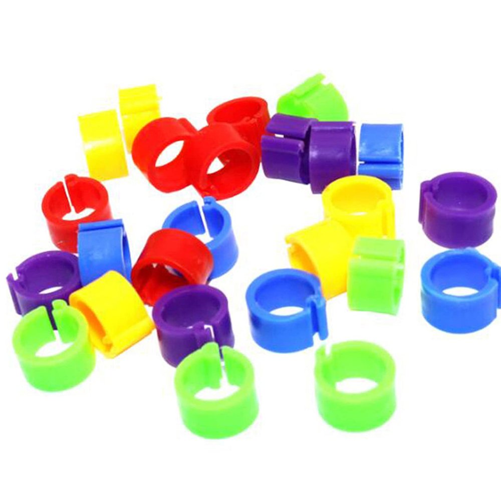 Washranp 100-Piece 8 mm Plastic Bird Foot Rings, Assorted Colors