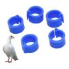 Washranp 100-Piece 8 mm Plastic Bird Foot Rings, Assorted Colors view 3