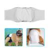 Washable Male Dog Diapers with Leak-Resistant Design, Black, M view 2