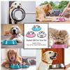 PAKEY Stainless Steel Dog Bowl, 18 cm, Blue, with Non-Slip Rubber Rim view 2