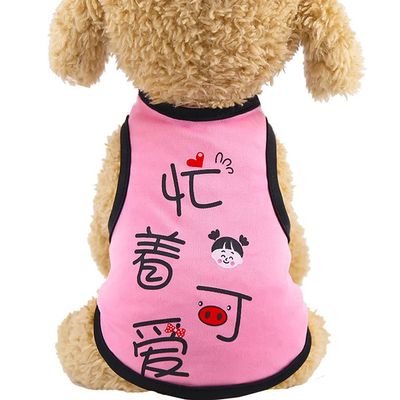 Abcsea Pet Shirt, Pink, XL
