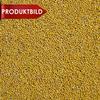 Whole White Mustard Seeds from Europe, Cleaned and Sifted, 250 g Bag view 2