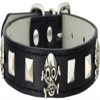 ZESLIV Dog Collar with Studs