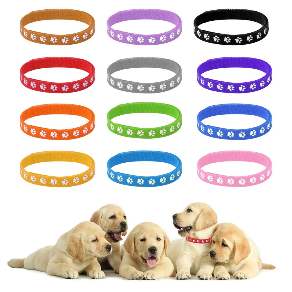 Jinlaili 12-Pack Puppy ID Collars
