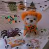 2 Pack Pet Bandana Cute Bibs Halloween Scarf view 3