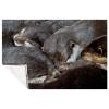 BestIdeas Cute Sleeping Otters Baby Blanket, Soft and Warm, 150 x 100 cm view 1