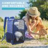 Foldable Breathable Pet Backpack for Small Dogs and Cats view 4