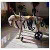 RXBD 4-Wheel Dog Wheelchair, Adjustable Full-Body Support, Front-Leg Rehabilitation, Belly Band (M, 13–20 kg) view 3