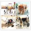 RXBD 4-Wheel Dog Wheelchair, Adjustable Full-Body Support, Front-Leg Rehabilitation, Belly Band (M, 13–20 kg) view 4