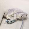 MeiAOBest Interactive Cat Toy, Funny Cat Wand, Floppy Fish, Indoor Cat Toy (Dog Tail) view 3