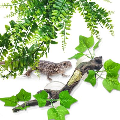 Hamiledyi Reptile Corner Branch and Hanging Vine Terrarium Decor with Suction Cup