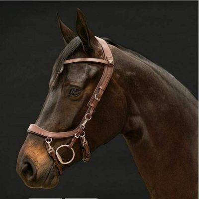 PresTeq FaySport Leather Bridle with 12 Anatomical Features (Pony, Brown)