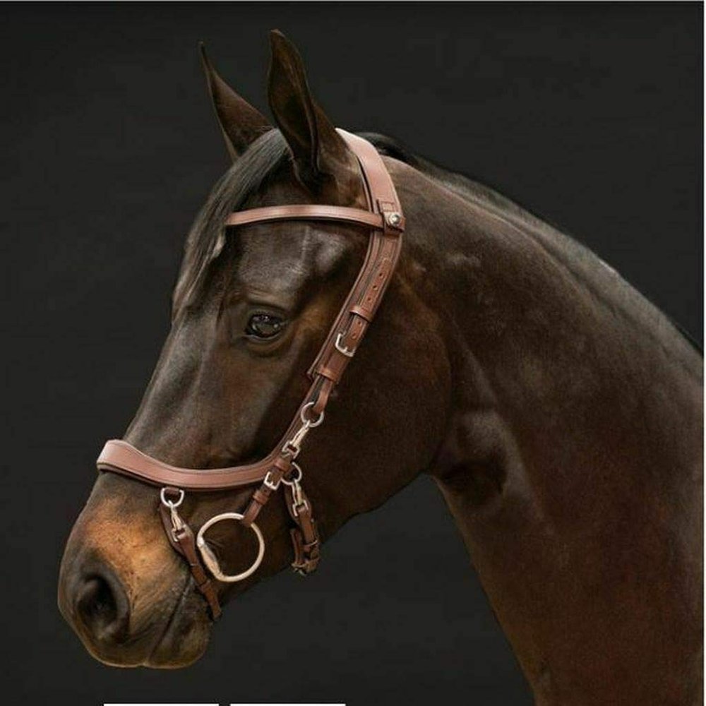 PresTeq FaySport Leather Bridle with 12 Anatomical Features (Pony, Brown)
