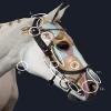 PresTeq FaySport Leather Bridle with 12 Anatomical Features (Pony, Brown) view 3