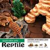 FQQF MCLANZOO Reptile Carpet 40-Gallon Upgrade Package, 2 Terrarium Liners with Feeding Tweezers view 3