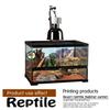 FQQF MCLANZOO Reptile Carpet 40-Gallon Upgrade Package, 2 Terrarium Liners with Feeding Tweezers view 4
