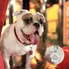 Personalized Glitter Paw-Shaped Pet Tag with Hook and Bell, Pink view 2