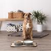 Bone Dry Lattice Collection Food and Water Bowls, Large Set, 19.1 x 6.1 cm, Black, 2-Pack view 4