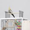Large Metal Bird Cage with Breeding Box, Color A view 4