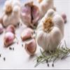 SPINTZ 500 g Organic Garlic Powder – Finely Ground, Vegan, Natural view 3