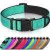 Joytale Dog Collar, Padded Neoprene Nylon Adjustable Collar for Large Dogs, Soft and Reflective, XL, Turquoise view 1