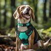 Joytale Dog Collar, Padded Neoprene Nylon Adjustable Collar for Large Dogs, Soft and Reflective, XL, Turquoise view 2