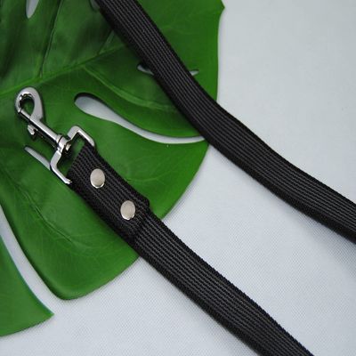 Rubberized Leash 25mm x 1.2m with Loop Gray Training Leash