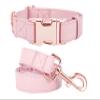 Dog Collar and Leash, Soft Easy-Clean Vegan Leather with Rose Gold Buckle, Pink, Size S (31–42.9 cm) view 1