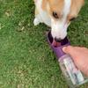 WePet Portable Dog Water Bottle, 350 ml view 2