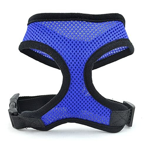 Boolavard Adjustable Dog Harness with Leash and Collar (L, Blue)
