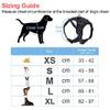 Boolavard Adjustable Dog Harness with Leash and Collar (L, Blue) view 2