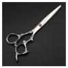 RH-HPC 6-Inch Professional Hair Cutting Scissors with Colorful Dragon Handle, Silver Cutting view 1