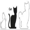 Cat Harness + Leash Amira 20-35CM 10MM Assortment view 4