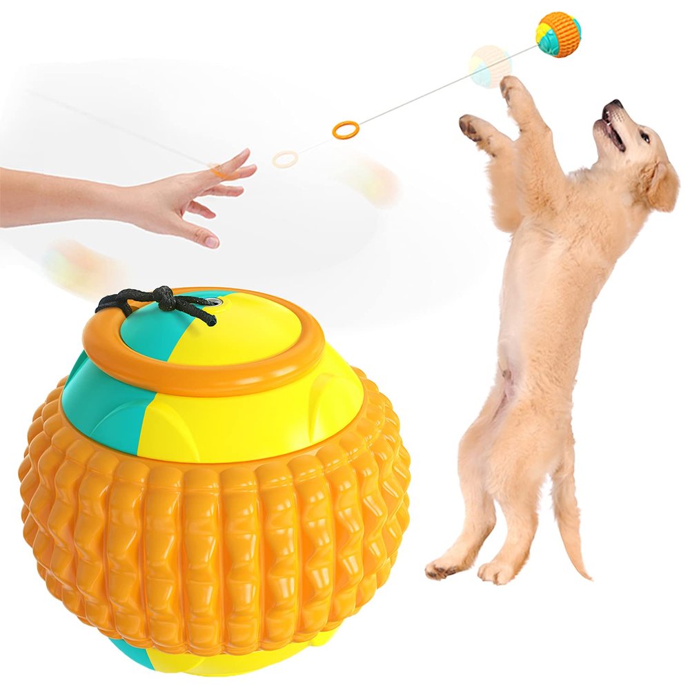 Runstarshow Dog Ball Launcher and Chew Toy