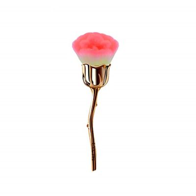 MEECAA 1 Rose-Shaped Makeup Brush with Clear Case, Gold