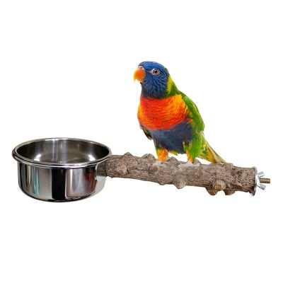 Hanging Stainless Steel Bird Food & Water Bowl with Clip and Branch Perch