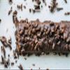 Multipower Vegan Protein Layer Brownie Protein Bar, 24% Protein, 15 x 55 g view 3