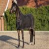 HKM Fly Sheet 7021 Multicolor 165 view 4
