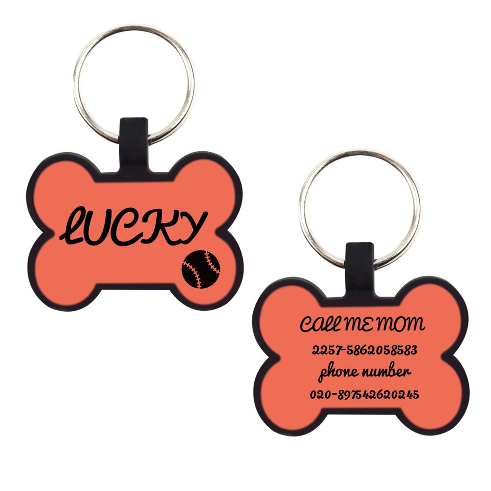 CAMAL 2-Pack Personalized Dog Tags