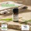 rooted. Organic Lemongrass Essential Oil 10 ml [100% Pure] view 2