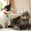 Uiopa 2pcs Personalized Pet ID Tags - Bone/Round view 4