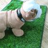 Yumech 2Pcs Artificial Pet Pee Grass Mat view 3