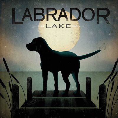 Stretched Canvas Wall Art, Moonrise Black Dog Labrador, 33 x 33 in