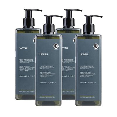 ANYAH Liquid Hand Soap, 4 x 480 ml, Gentle Daily Use, White Nettle Extract, Vegan, Nordic Ecolabel, 100% Recycled Bottles, Non-Refillable