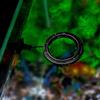 TopHomer Aquarium Fish Feeder Set view 4
