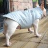 Small to Medium Dog Coat with Harness, Waterproof Leather Jacket for French Bulldog (Color: Blue, Size: XL) view 1