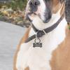 CAMAL Personalized Dog Tag view 3