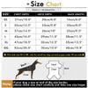 SMALLLEE_LUCKY_STORE Christmas Sweater for Dogs view 4
